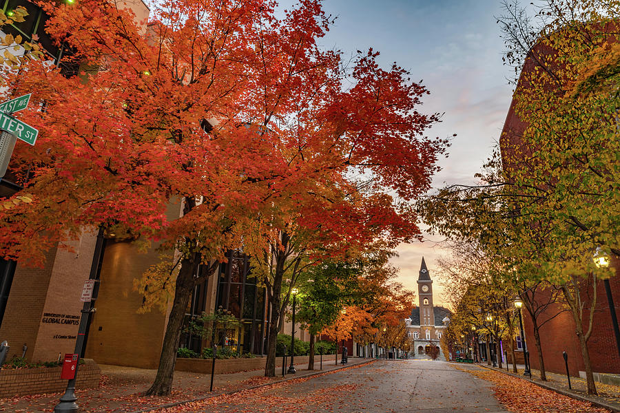 Fayetteville Arkansas Center Street Of Autumn Photograph by Gregory Ballos