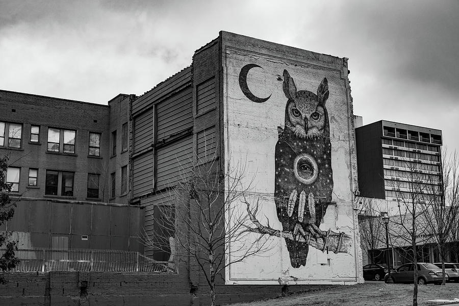 Fayetteville Arkansas Owl and Moon Mural - Black and White Photograph by Gregory Ballos