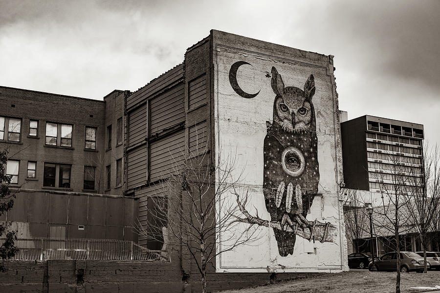 Black And White Photograph - Fayetteville Public Art Mural And Architecture - Sepia I by Gregory Ballos