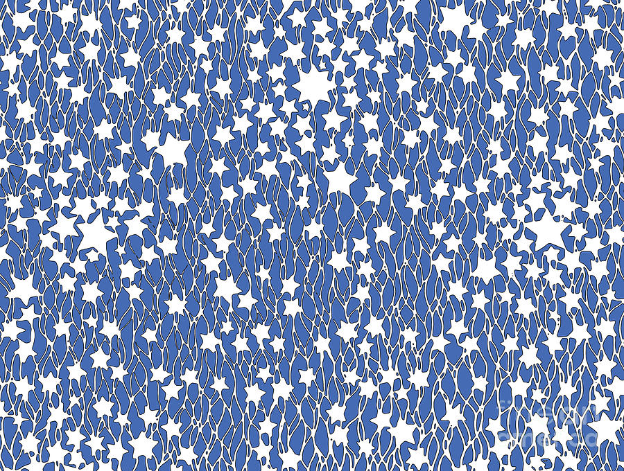 Hbcu Digital Art - Fayettville State Stars Wax Print Design by Scheme Of Things Graphics