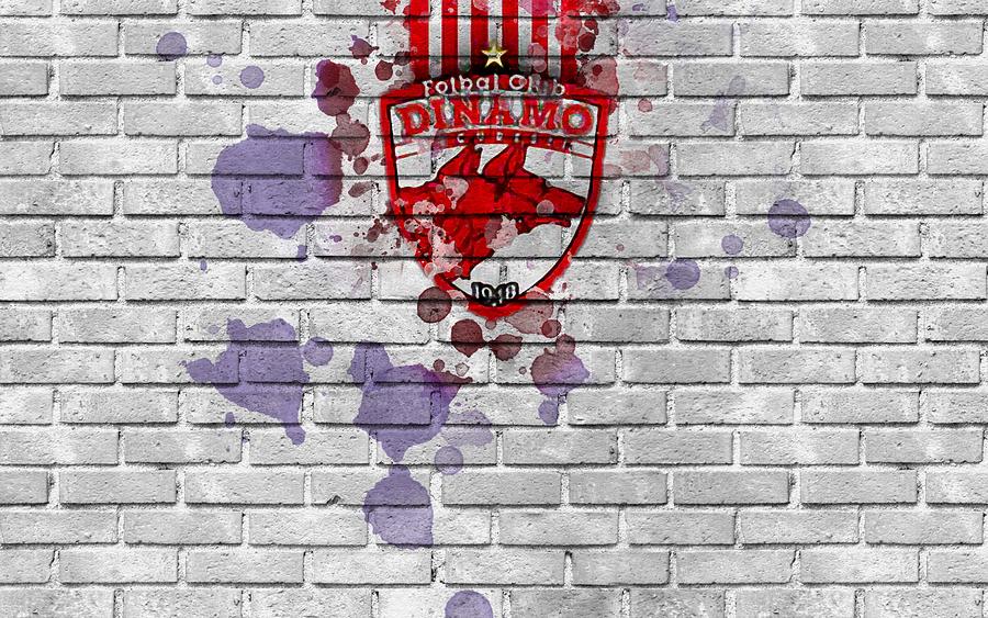 Fc Dinamo Bucuresti Logo Leather Romanian Football Club Liga I First League Bucharest Romania Football Digital Art By Lexie Howe