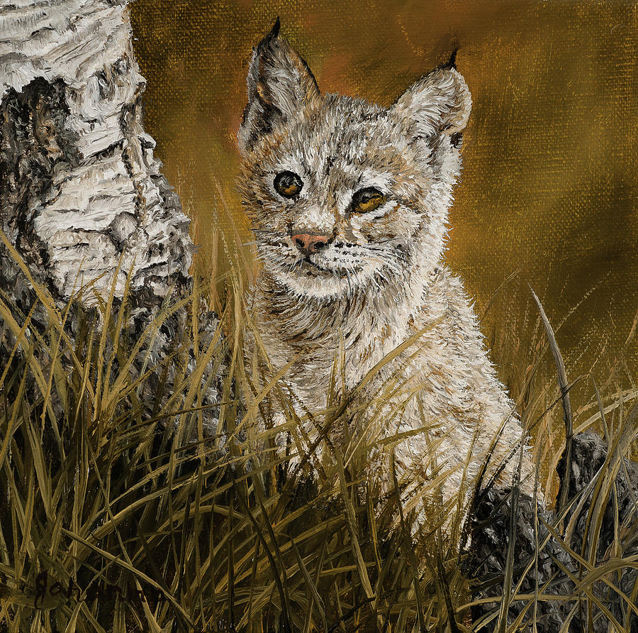 Fearless - Canadian Lynx Kitten Painting by Johanna Lerwick