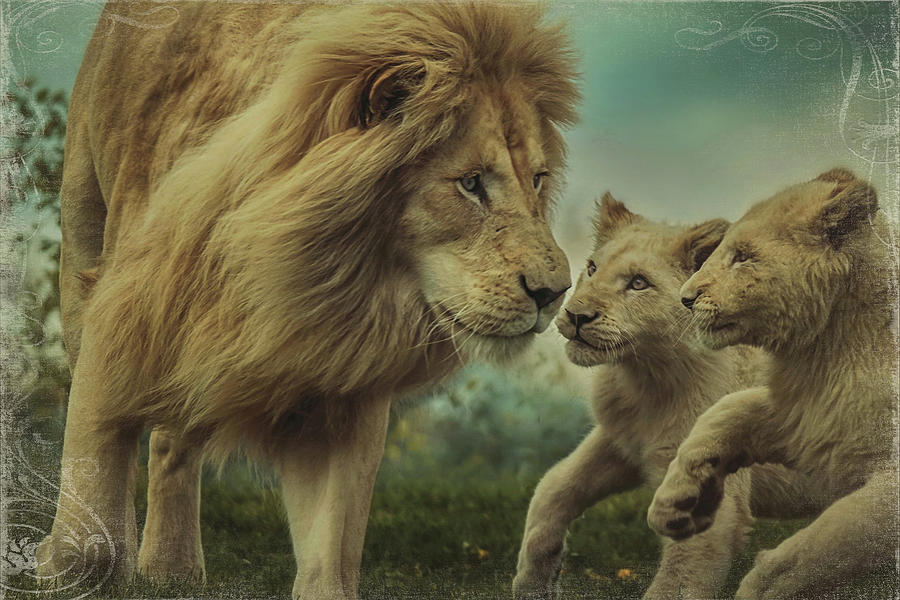 Fearless Father Texture Version Photograph by Carrie Ann Grippo-Pike