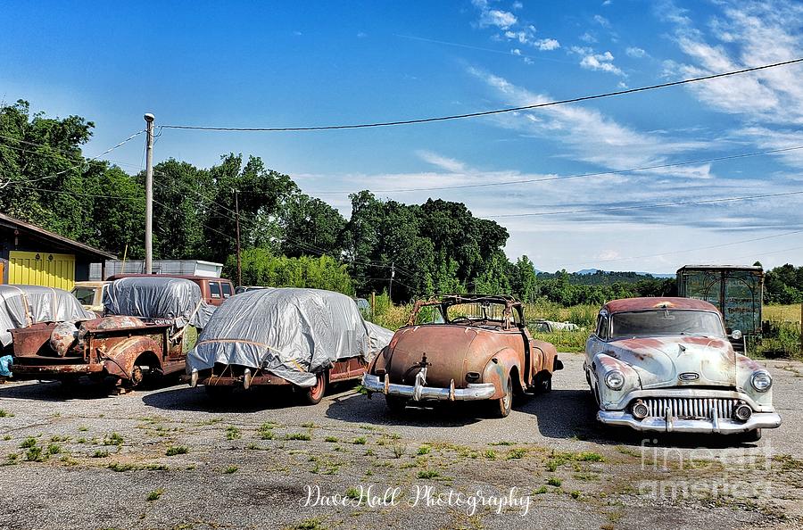 Fearsome Foursome Photograph by Dave Hall | Pixels