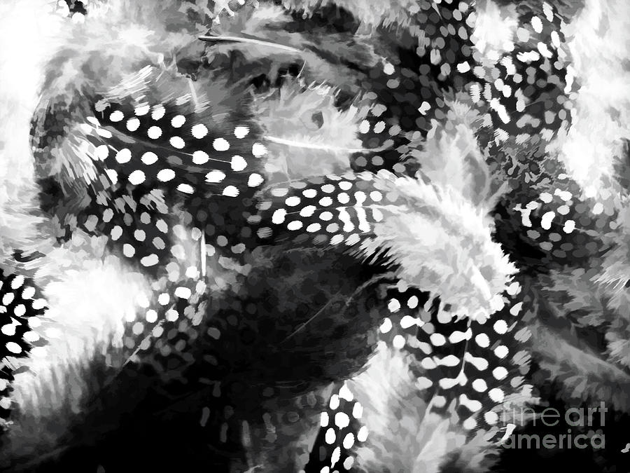 Feather Art 29 Photograph by D Hackett