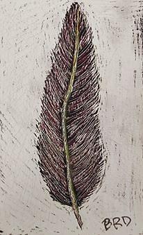 Feather Drawing by Branwen Drew