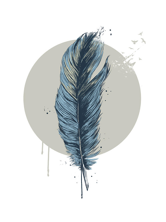 Bird Drawing - Feather in a circle by Balazs Solti