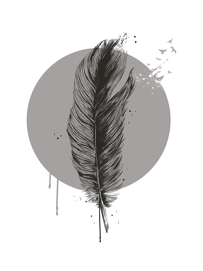 Bird Drawing - Feather in a circle II by Balazs Solti