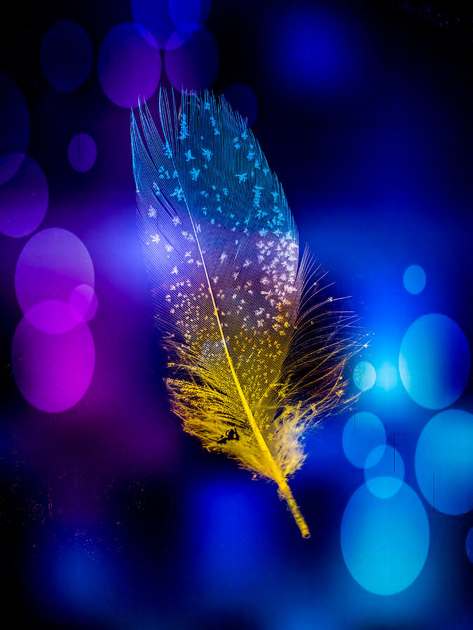 Feather Digital Art by Melissa Strand - Fine Art America