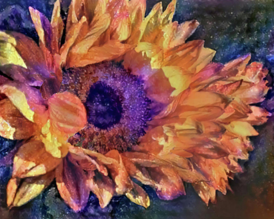 Feather Petals Digital Art by Artistic Mystic