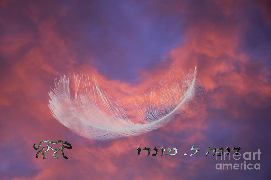 Feather Sky Digital Art by Donna L Munro