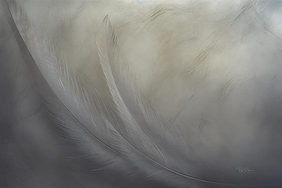 Feathered Elegance Digital Art by Bill Posner