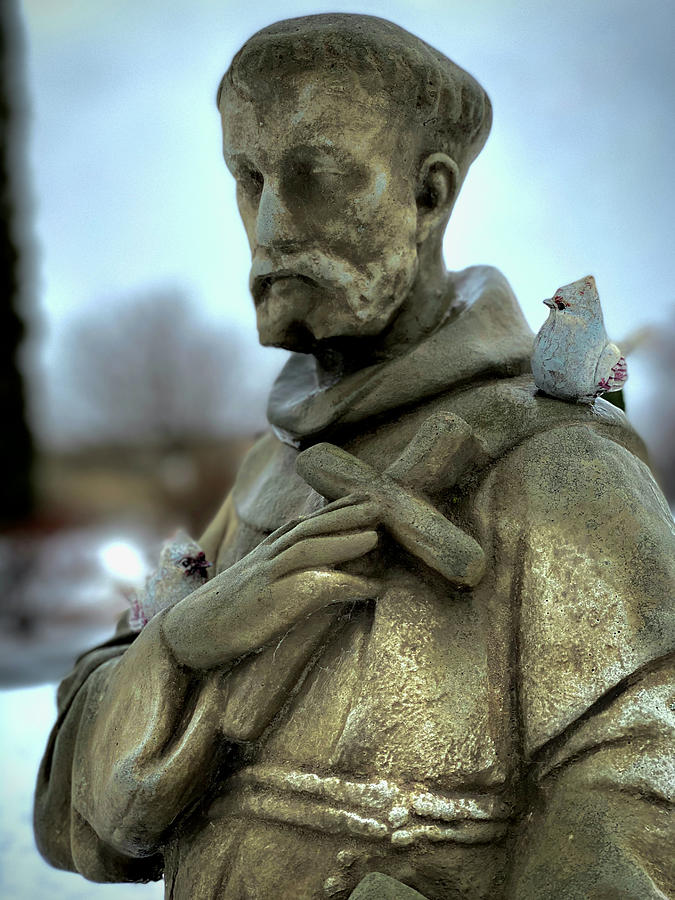 Feathered Friends and Saints Photograph by Carol Jorgensen