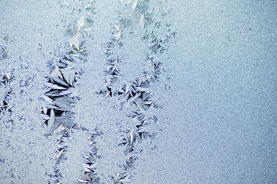 Feathered ice crystals Photograph by Vladimir Godnik