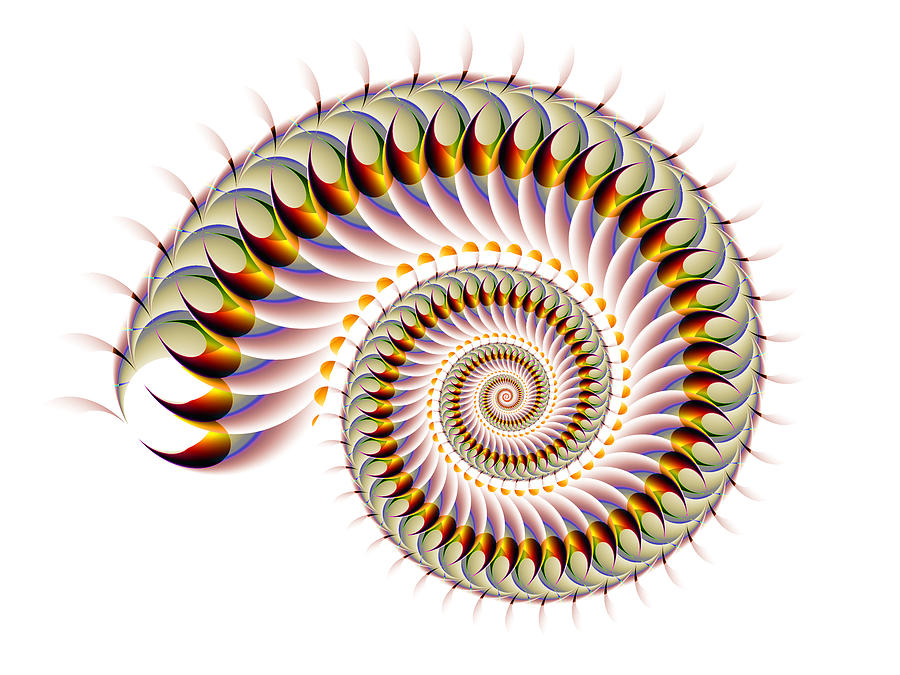 Feathered Spiral Digital Art by Blair Gibb