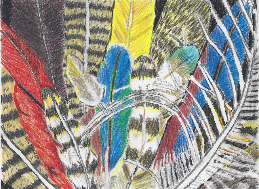 Feathers Colorful Hand Drawn Colored Pencil Drawing of Bird Plumage Drawing by Ali Baucom