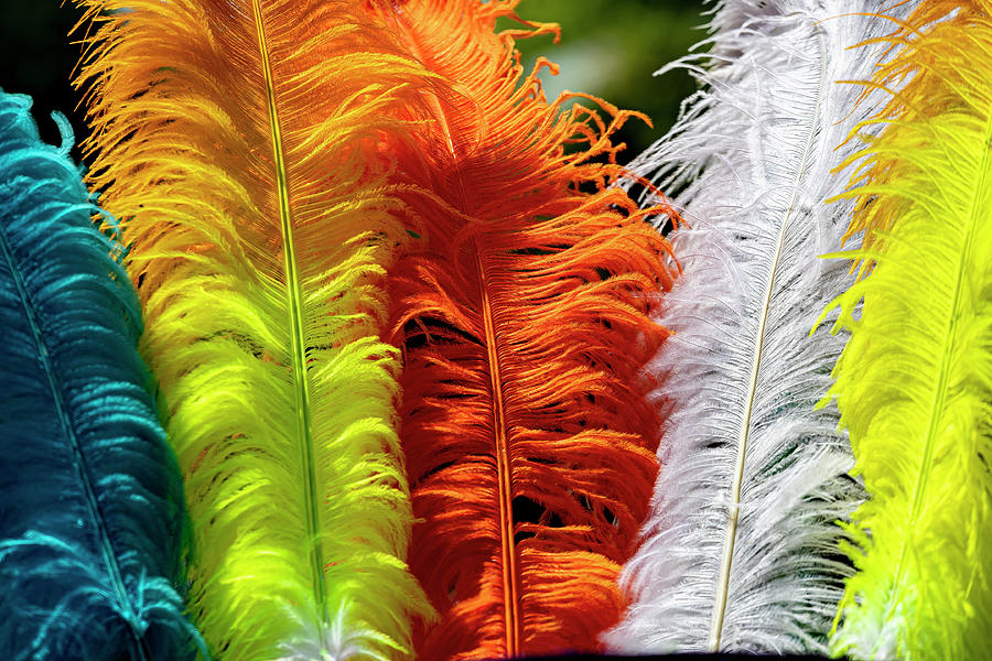 Feathers - Cinco de Mayo Parade NYC 2023 Photograph by Robert Ullmann ...