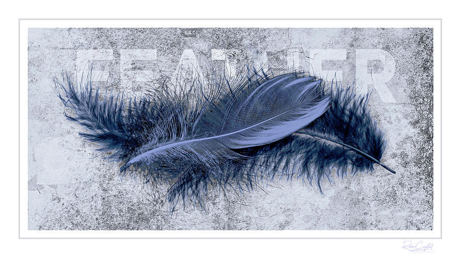 Feathers Of A Blue Persuasion Photograph by Rene Crystal