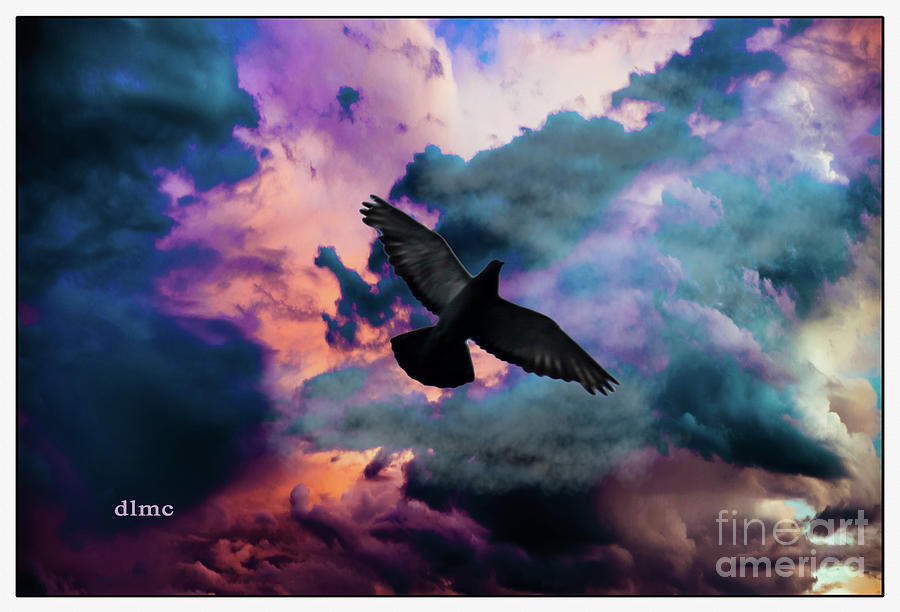 Feathers Sky Painting by Donna L Munro