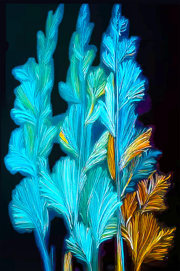 Feathery Flowers Mixed Media by Pheasant Run Gallery Feathery Flowers Mixed Media by Pheasant Run Gallery