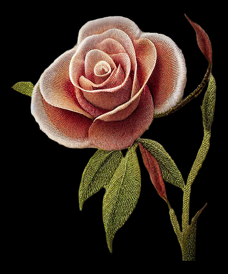 Featuring a Rose-Adorned Stitching Design Digital Art by Lena Owens - OLena Art Vibrant Palette Knife and Graphic Design