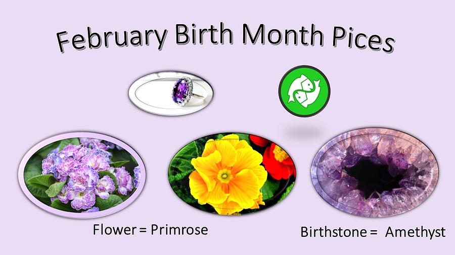 February Birth Month Pices Mixed Media by Nancy Ayanna Wyatt