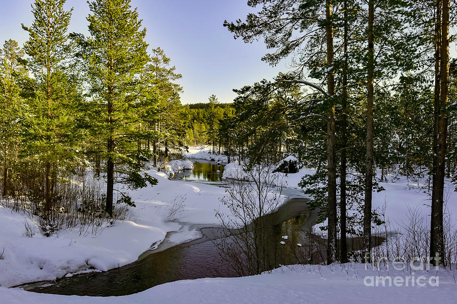 February Creek 03 Photograph by Torfinn Johannessen