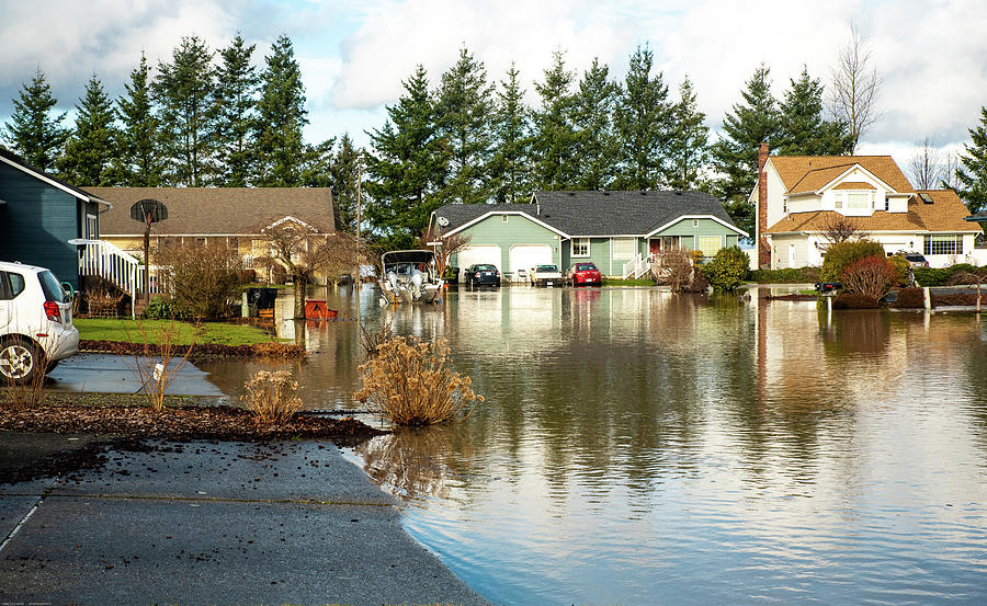 February Flood on Shuksan Way Photograph by Tom Cochran
