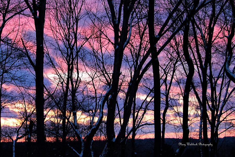 February Sky Photograph by Mary Walchuck