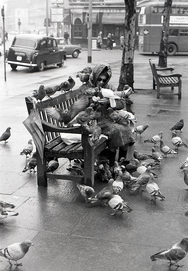 Feeding Pigeons 1971 Photograph by Michael Pole