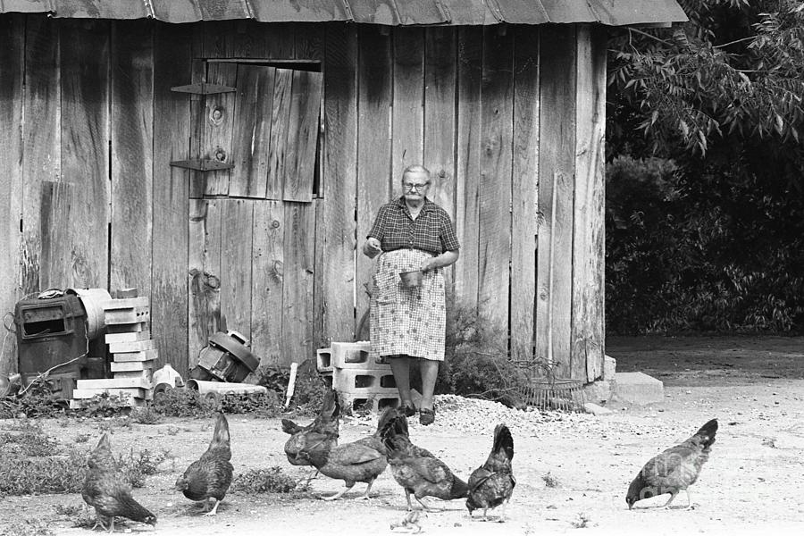 Black And White Photograph - Feeding the Chickens by Rodger Painter