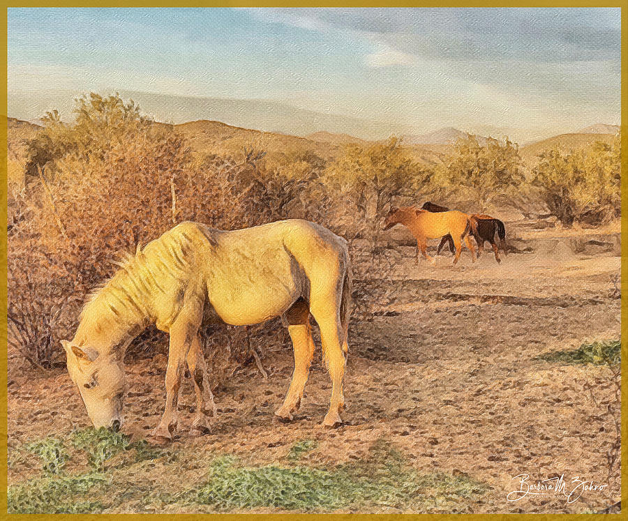 Feeding Time in the Desert  Photograph by Barbara Zahno