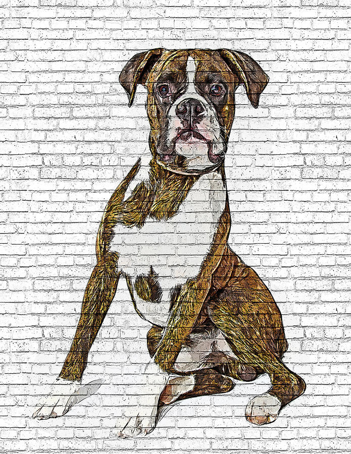 Feel that swag, Boxer Dog - Brick Block Background Painting by Custom Pet Portrait Art Studio