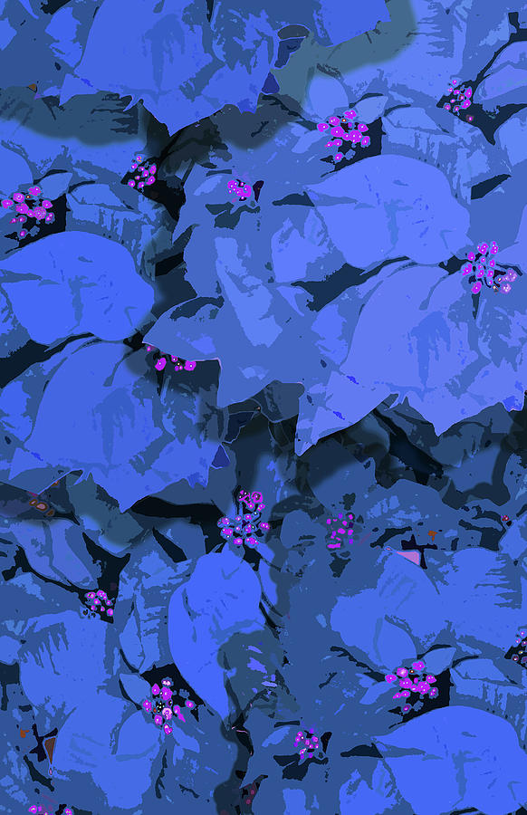Feeling a little blue? Digital Art by Julie Rodriguez Jones