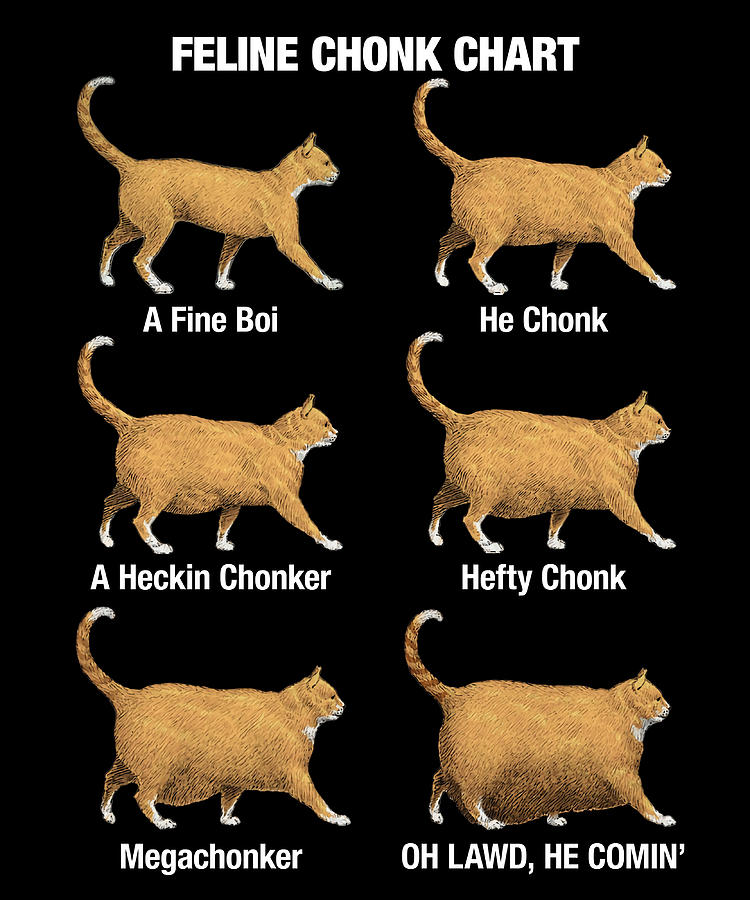 Feline Conk Chart Funny Chonk Cat Meme Poster Painting by Ashley Lisa