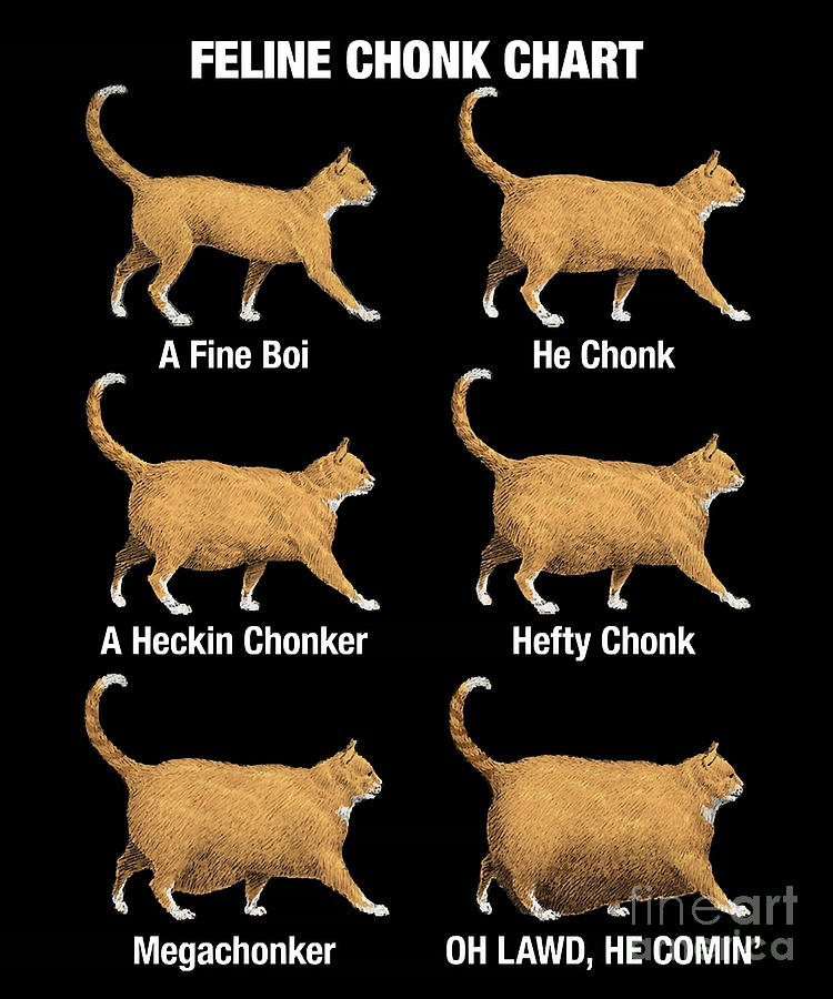 Feline Conk Chart Funny Chonk Cat Meme Poster Digital Art by Ha Pham