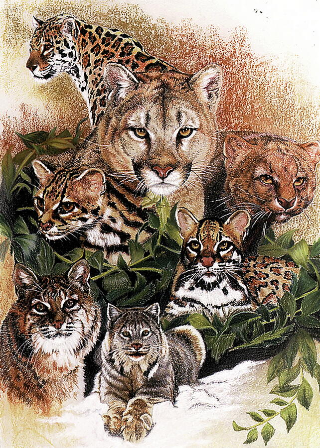 Wildlife Pastel - Feline Rhapsody by Barbara Keith