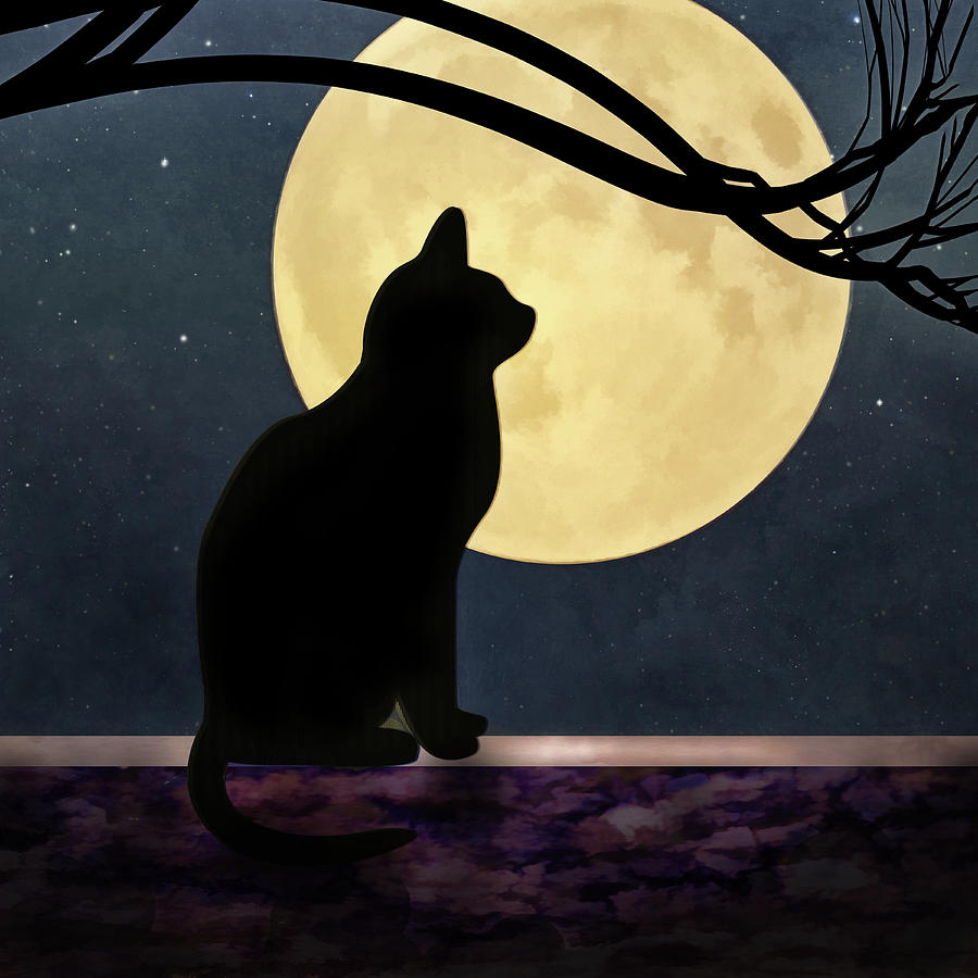 Cat Digital Art - Felix et la lune by Jon Woodhams