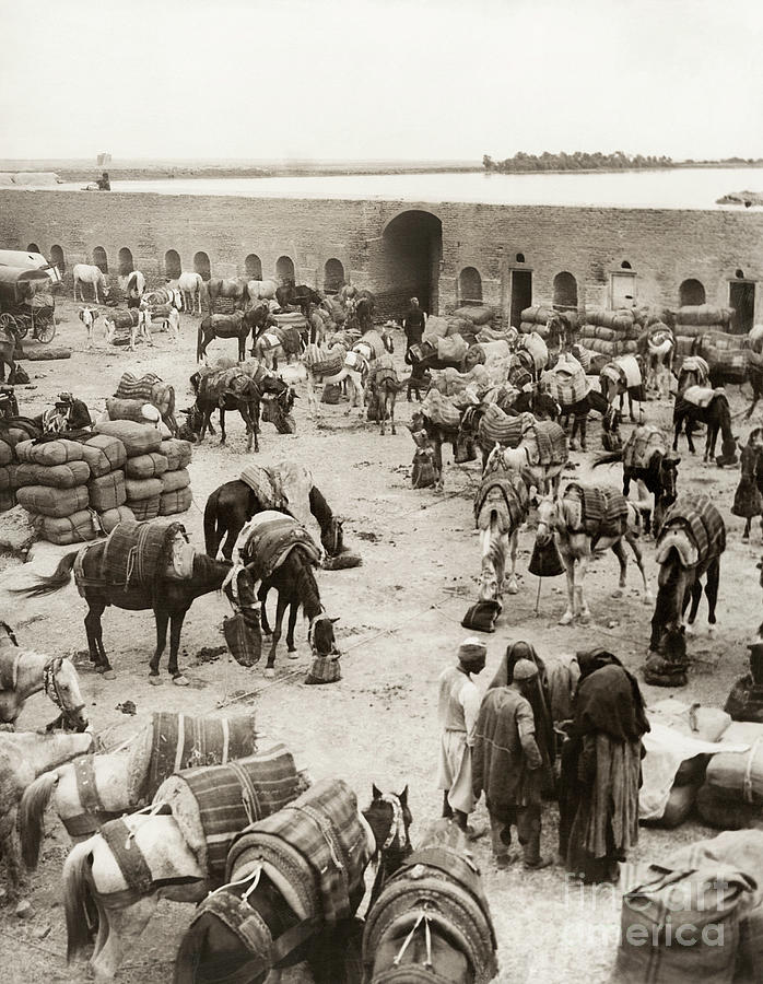 Fellujah, Mesopotamia, 1910 Photograph by Underwood and Underwood
