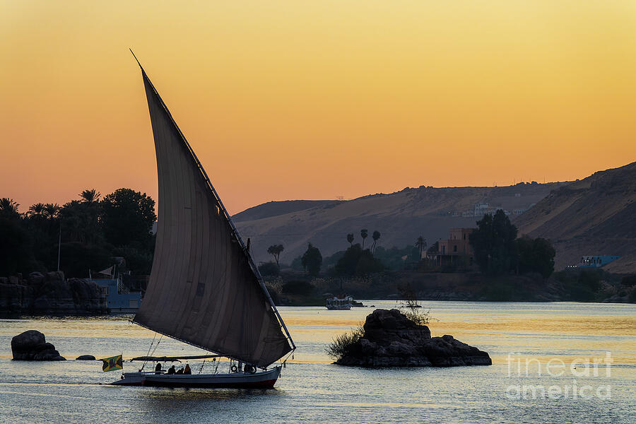 Felucca boat on the Nile river at sunset Photograph by Delphimages Photo Creations