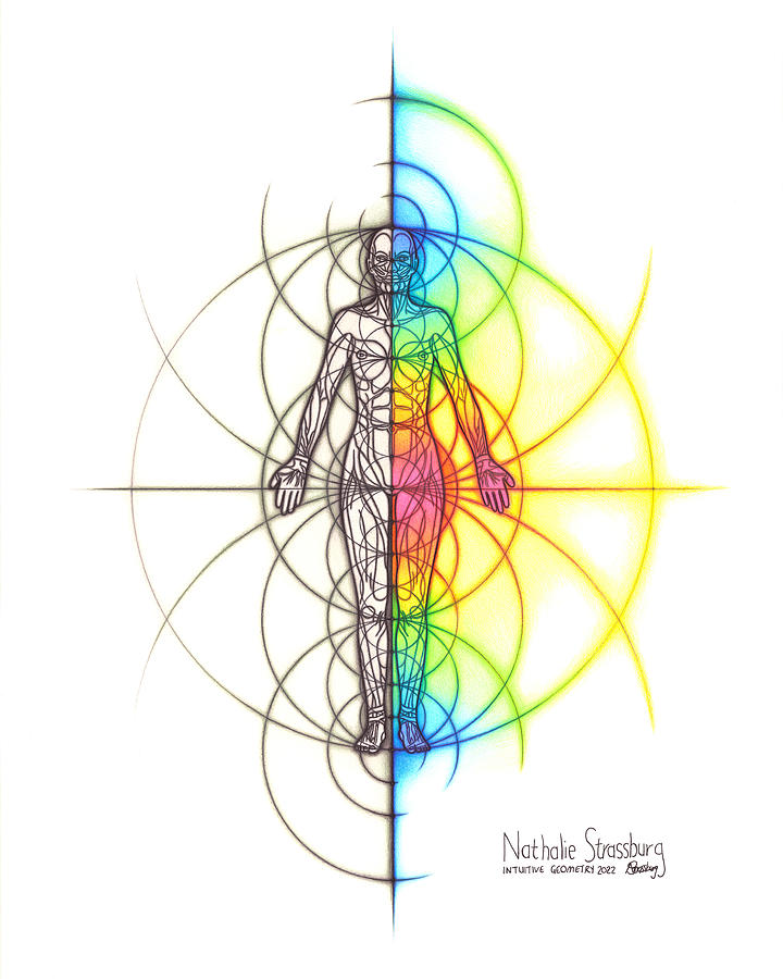 Female Body Spectrum Anatomy Geometry Art Drawing By Nathalie ...