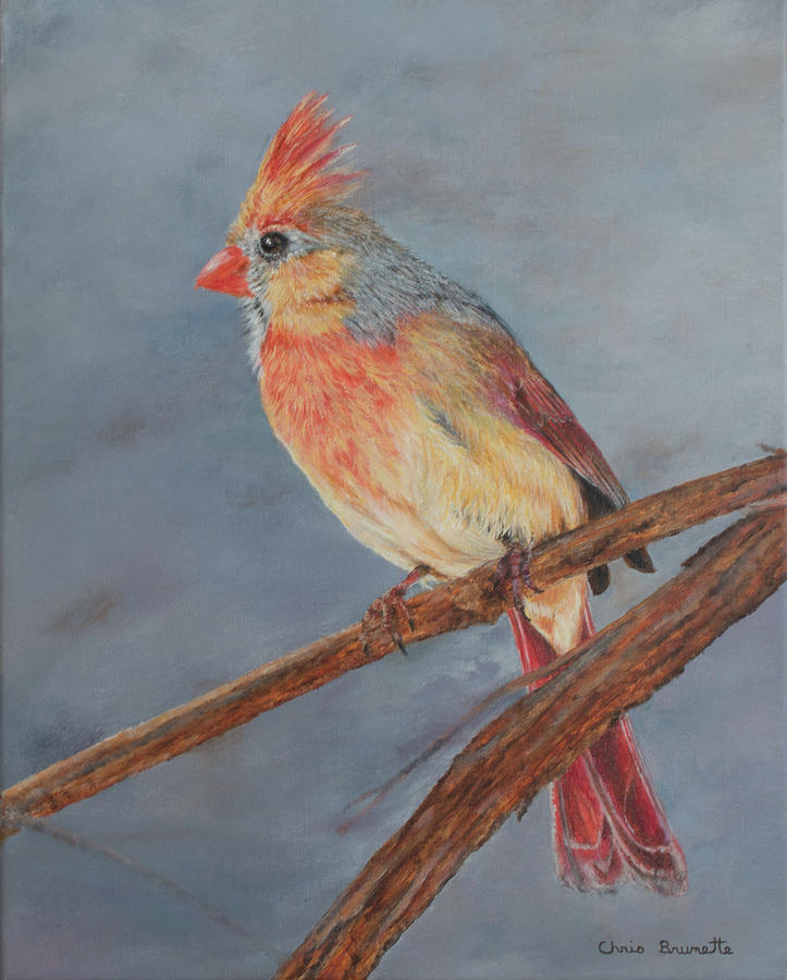 Female Cardinal Painting by Christine Brunette - Fine Art America