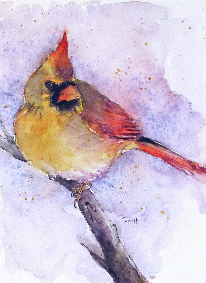 Female Cardinal Painting by Patricia Henderson