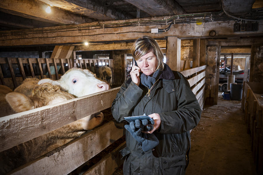 Female farmer in a barn using smartphone and tablet Photograph by Fertnig