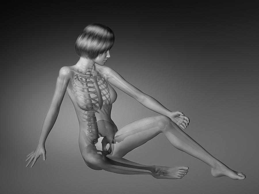 Female figure with skeleton and body parts visible Drawing by Scott Camazine
