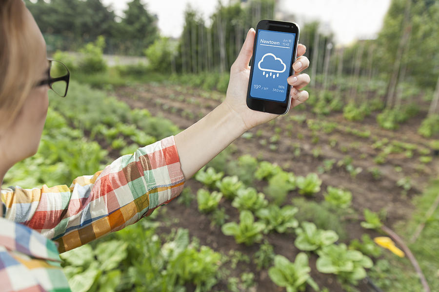 Female gardener holding weather app on smart phone Photograph by Mareen Fischinger