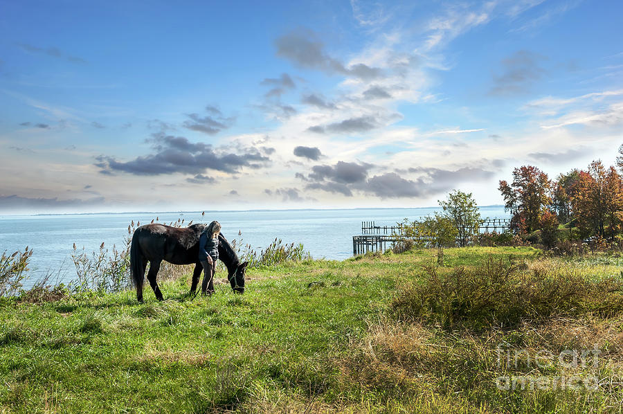 Female grazing her horse in a grassy field overlooking the Chesapeake Bay Photograph by Patrick Wolf