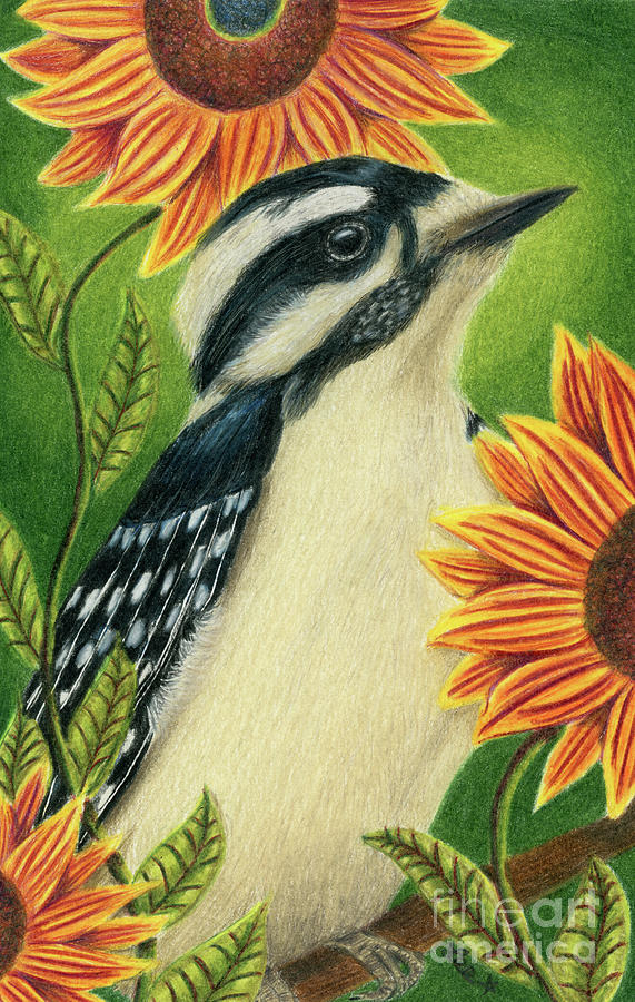 Female Hairy Woodpecker In A Sunflower Paradise Painting by Dorothy Lee