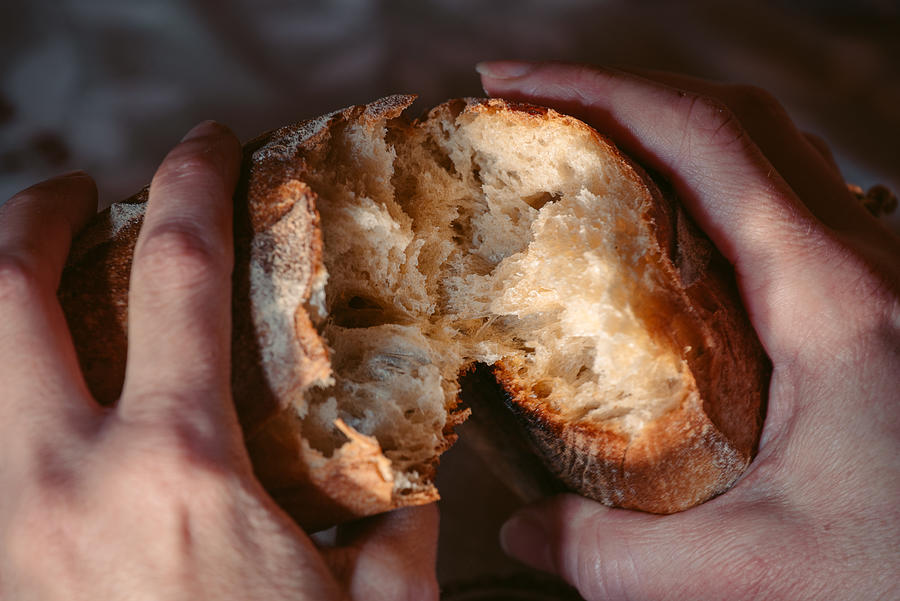 Female hands close-up breaking fresh baguette bread Photograph by Sasha Samardzija