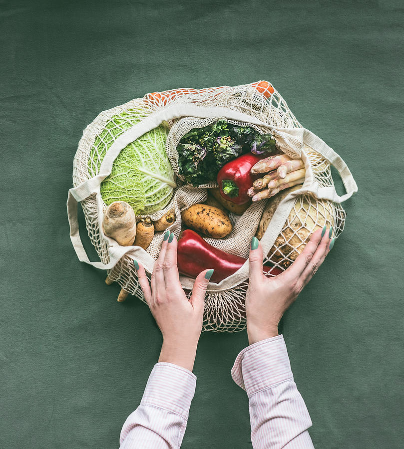 Female hands holding eco friendly mesh shopping bag with vegetables Photograph by Vicuschka